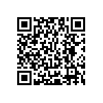 Y17451K42000T0L QRCode