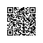 Y17451K80000B2R QRCode