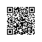 Y17452K21000B0R QRCode