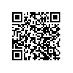 Y17453K30000T9L QRCode