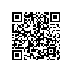 Y174613K3404B9R QRCode