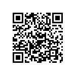 Y174945R0620T9L QRCode