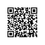 Y175110K0000B9L QRCode