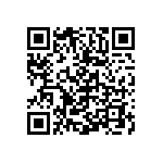 Y402317K3200T9W QRCode