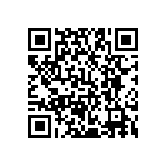 YB25SKW01-28-FB QRCode