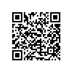 0201BW333K160NGT QRCode