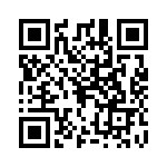 0295030-T QRCode