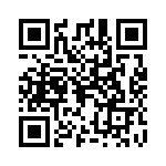 0295070-T QRCode