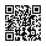 0297025-L QRCode