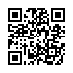 0310213300 QRCode