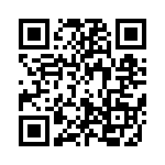 0313-500HXID QRCode