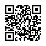 0380090207 QRCode