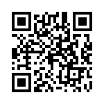 04025C202JAT2A QRCode