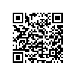 0402BB333K250NGT QRCode