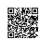 0505J0503P60HQT QRCode