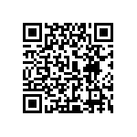 0505J063P300DQT QRCode