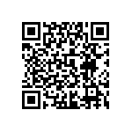 0505J2004P30BQT QRCode