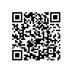 0505J2501P90HQT QRCode