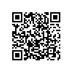 0505J300P800DQT QRCode