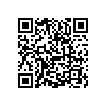 0505Y1006P80HQT QRCode