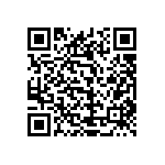 0505Y2500121KQT QRCode