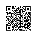 0505Y2500130KQT QRCode