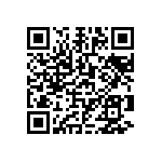 0505Y2501P90DQT QRCode