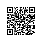 0505Y250P800DQT QRCode