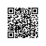 0505Y3008P20DQT QRCode