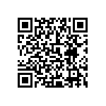 0505Y300P500DQT QRCode