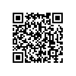 0505Y300P900BQT QRCode