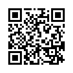 06-2513-10T QRCode