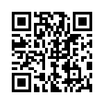 06-2513-11 QRCode