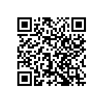 0603Y2006P80BQT QRCode