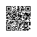 0603Y3001P90HQT QRCode