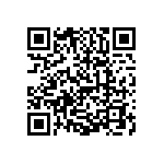 0603Y3002P00DQT QRCode