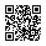 0612YC334KAT2V QRCode