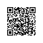 0805J250P700DQT QRCode