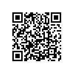 0805Y2002P10DQT QRCode