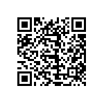 0805Y300P300BQT QRCode