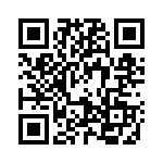 0900317 QRCode