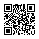 09110006262 QRCode