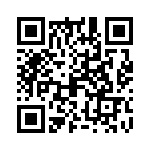 09150073101 QRCode