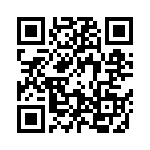 09185266911001 QRCode