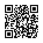 09210009906 QRCode