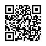 09291306519 QRCode