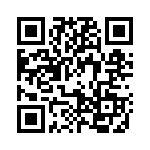 0953137 QRCode