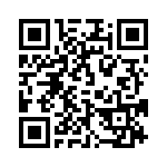 095916309112 QRCode