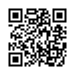 10-190211-04P QRCode