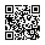 10-87317-9P QRCode